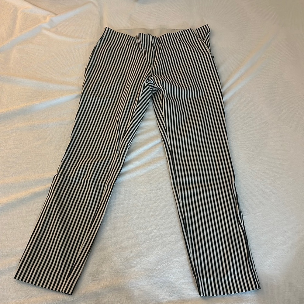 Ankle dress pants